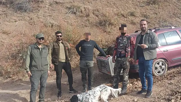 Ağrı'da kaçak avcılığın cezası ağır oldu