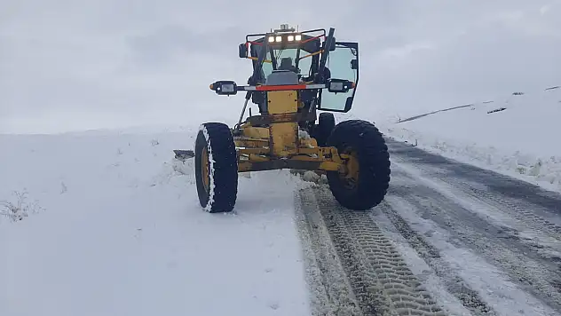 Ağrı'da karla mücadelede dokuz köy yolu ulaşıma açıldı