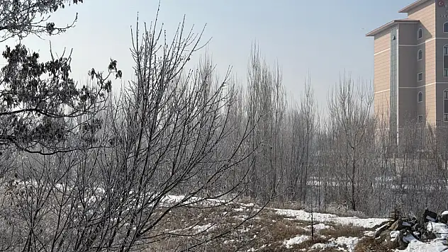 Ağrı'da kırağı ve buzlanma günlük hayatı zorlaştırıyor