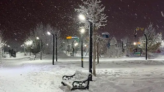 Ağrı'da kış sessizliği: Sokaklar ve parklar boş kaldı