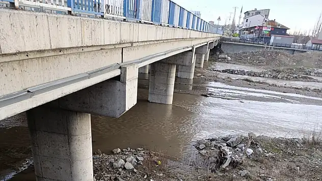 Ağrı'da köprü altında mahsur kalan kedi için yoğun mesai