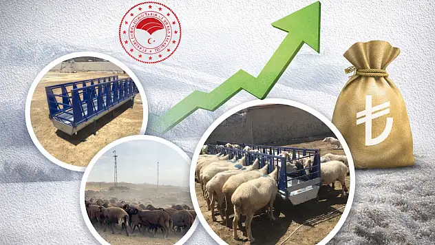Ağrı'da küçükbaş yetiştiricilerine yüzde 60 hibe desteği