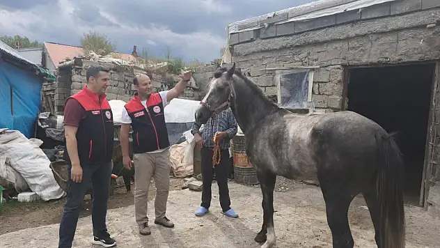 Ağrı'da mahallî at yarışları için hazırlıklar başladı