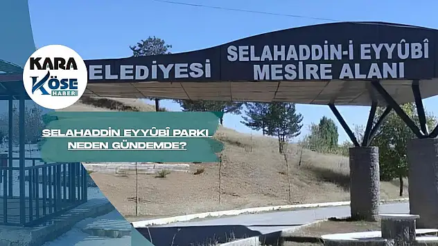 Ağrı'da mesire alanında fuhuş ve alkol tepkisi büyüyor