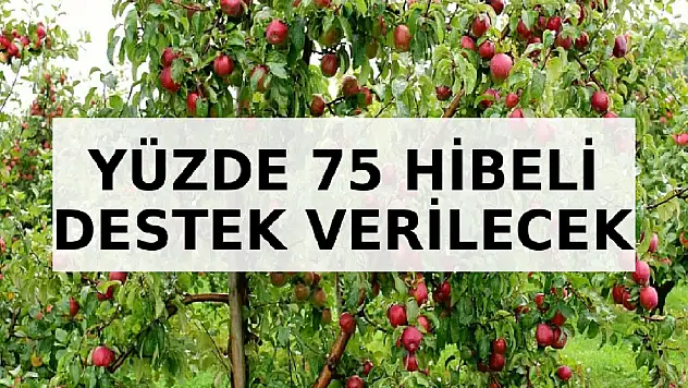 Ağrı'da Meyve yetiştiricilere yüzde 75 hibeli destek verilecek