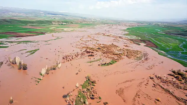 Ağrı'da Murat Nehri taştı tarım alanları suya teslim oldu