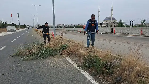 Ağrı'da park ve refüjlerde temizlik çalışmaları sürüyor