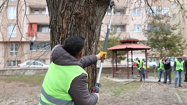 Ağrı'da park ve yeşil alanlar yenileniyor
