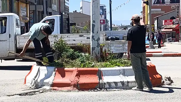 Ağrı'da refüjler rengârenk çiçeklerle buluşuyor