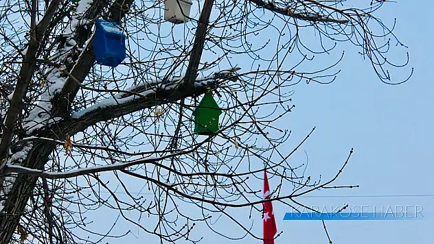 Ağrı'da renkli kuş yuvaları Abide Meydanı'na canlılık kattı