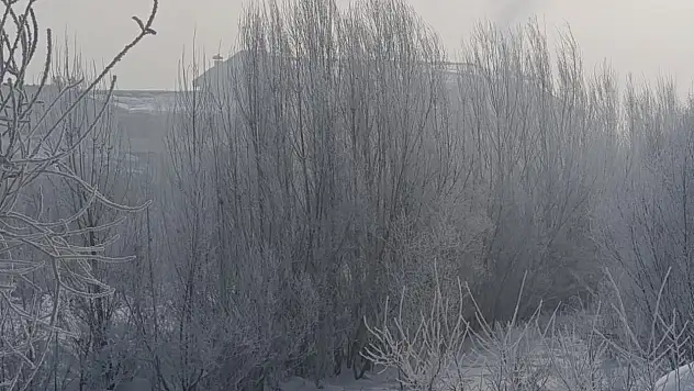 Ağrı'da sabah manzarası: Kar, buz ve sessizlik
