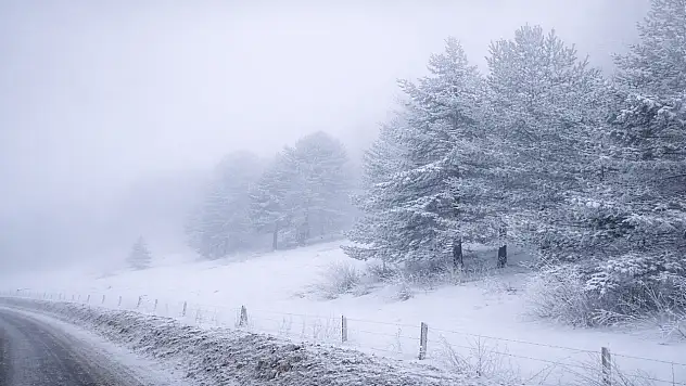 Ağrı'da sabahın ilk ışıklarında sis ve kırağı etkili oldu