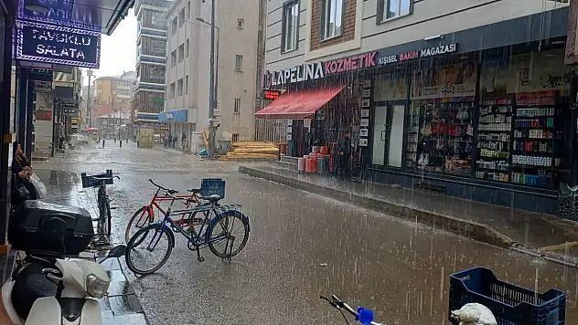 Ağrı'da sağanak yağış şehri esir aldı
