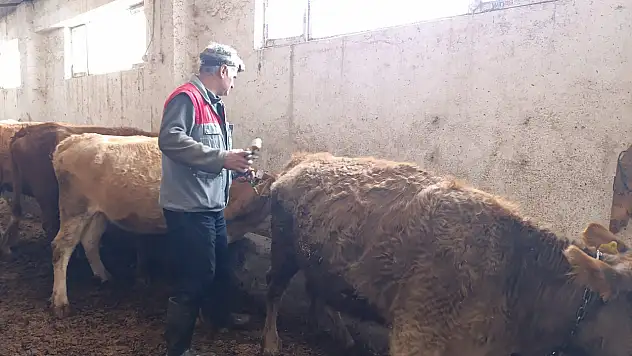 Ağrı'da şap aşısının düzenli uygulanması gerektiği yetiştiricilere hatırlatıldı