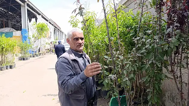 Ağrı'da sebze pazarı meyve bahçesine döndü