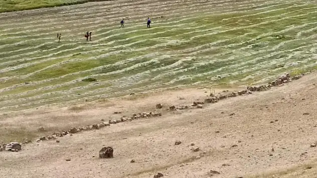 Ağrı'da sıcak hava dinlemediler, ot mesaisini sürdürdüler