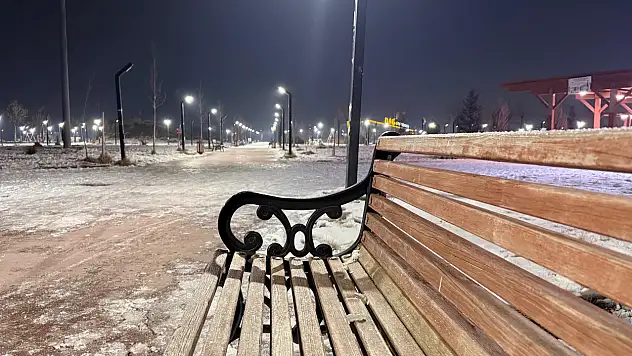 Ağrı'da soğuğun etkisiyle parklar boş kaldı