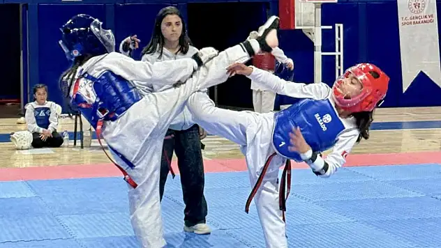 Ağrı'da Taekwondo minikler il seçmeleri tamamlandı