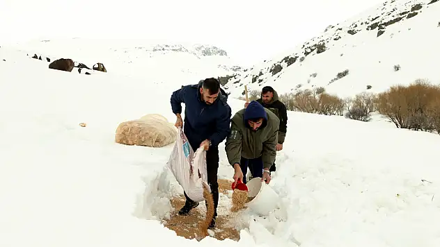 Ağrı'da üniversite öncülüğünde yürütülen çalışmada ekosistem dengesi gözetildi