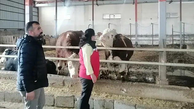 Ağrı'da üreticilere yerinde destek