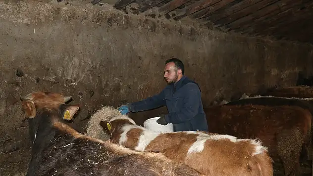 Ağrı'da Uzman Eller Projesi, Dursun'un hayvancılık hayalini gerçeğe dönüştürdü