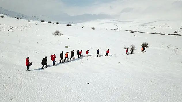 Ağrı'da yaban hayatı için iş birliği