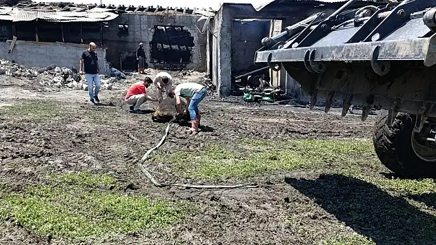 Ağrı'da yangında telef olan 30 büyükbaş hayvan toprağa gömüldü