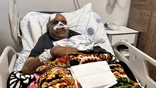 Ağrı'da yaşanan ayı saldırısının perde arkası: Doktorlar neler söyledi?