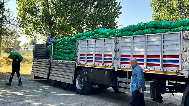Ağrı'da yaz sıcağında kömür fiyatları el yaktı