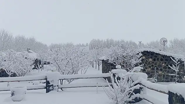 Ağrı Dağı eteklerinde beyaz rüya