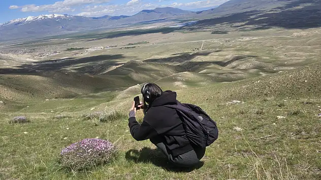 Ağrı Dağı eteklerinde çiçekler açtı, yaylalar renklendi