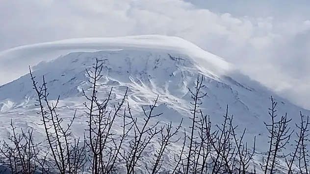 Ağrı Dağı eteklerinde ilk tomurcuklar filizlendi