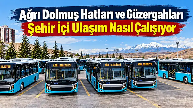 Ağrı Dolmuş Hatları ve Güzergahları Şehir İçi Ulaşım Nasıl Çalışıyor