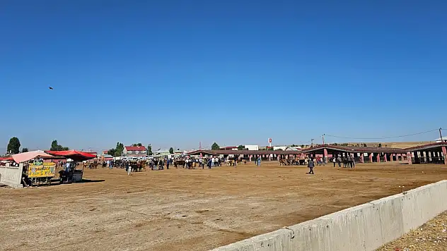 Ağrı Hayvan Borsası'nda şap alarmı! Hayvancılığın başkentinde borsa boşaldı