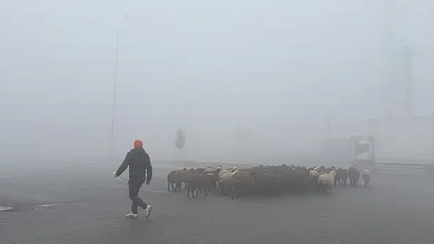 Ağrı–Iğdır karayolunu yoğun sis kapladı