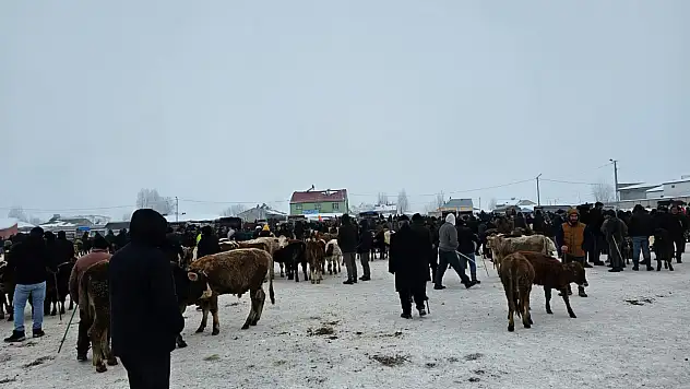Ağrı'nın bacasız fabrikasında kış mesaisi devam ediyor