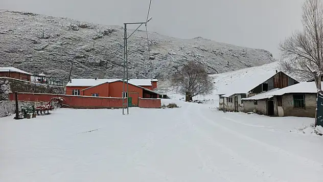 Ağrı'nın Dede Maksut Köyü'nde kış kendini gösterdi