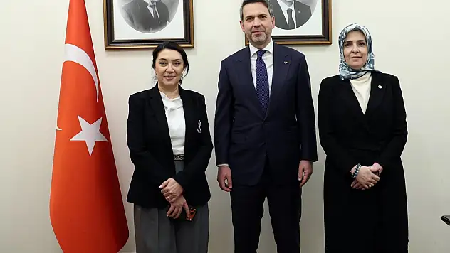 Ağrı'nın enerji yatırımları Ankara'da masaya yatırıldı