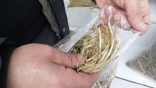 Ağrı'nın geleneksel lezzeti keledoş'un gizli kahramanına ilgi arttı