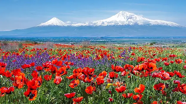 Ağrı'nın Görkemli Doğası: Dağlardan İlham Alan Keşif Noktaları
