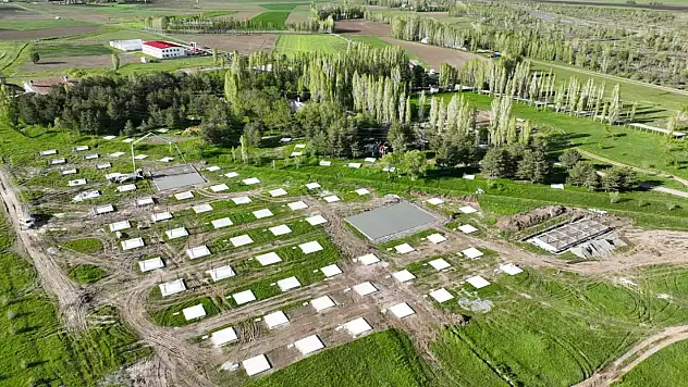 Ağrı'nın nefes alanı yenileniyor: TRT Park'ta dönüşüm başladı