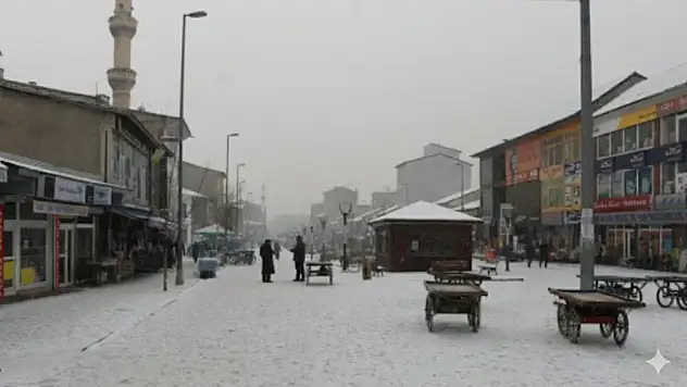 Ağrı Nüfusu Kürt mü?