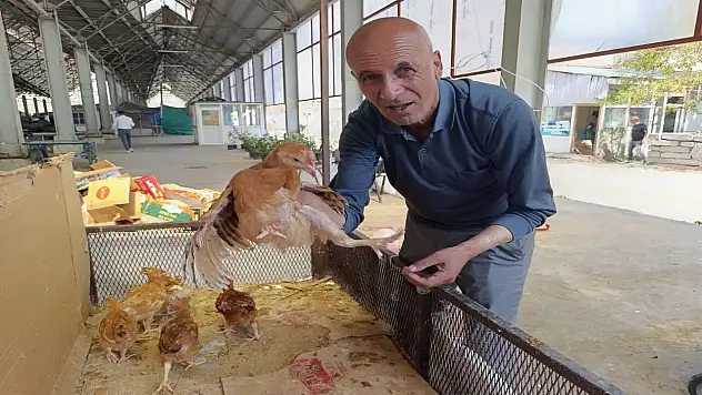 Ağrı pazarında civciv ve ördek yavruları ilgi görüyor