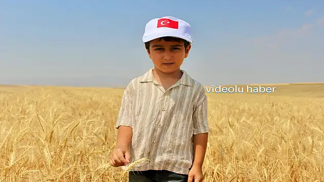 Vali Koç Buğday hasadına katıldı, Ağrı'nın tarımsal gücünü açıkladı
