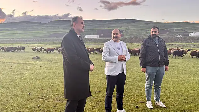 Ağrı Valisi Önder Bozkurt merada küçükbaş hayvancılığı inceledi