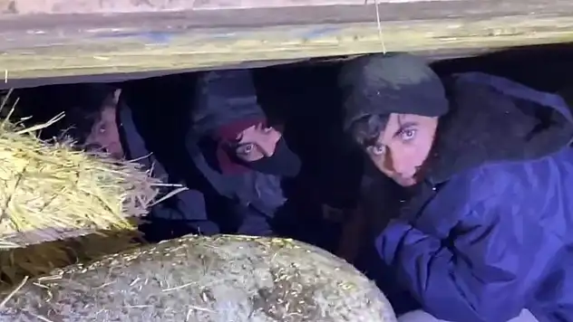 Ağrı'ya gönderilen 3 Afgan göçmen, Kars'ta yakalandı