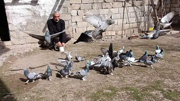 Ağrılı Halil Kılıç'tan 45 yıllık kuş sevdası