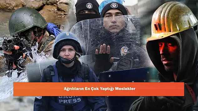 Ağrılıların En Çok Yaptığı Meslekler