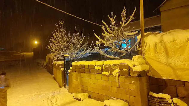 Ahlat'ta Kar Yağışı Köyleri Beyaza Bürüdü, Cemalettin'de Kar Kalınlığı 20 Santimetreyi Buldu