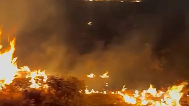 Ahlat'ta örtü yangını, itfaiye ekibi hızlı müdahale ile kontrol altına alındı!